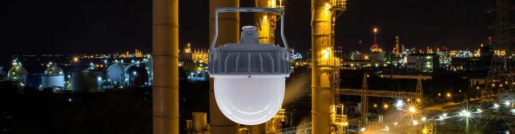 Factory Price Atex Certified High Bay Area Hanging Wall Mounted Atex Oil and Gasoline Harsh Environment 20W Zone 1 Zone 2 LNG Explosion Proof Lamp