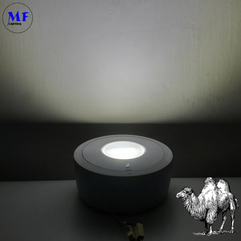 Panel Down Light Đèn đèn LED Bị hoảng loạn thoát hiểm khẩn cấp Đèn biển ra ngoài IP65 Pin dự phòng Trường học công cộng tái sạc Bệnh viện màu trắng 3