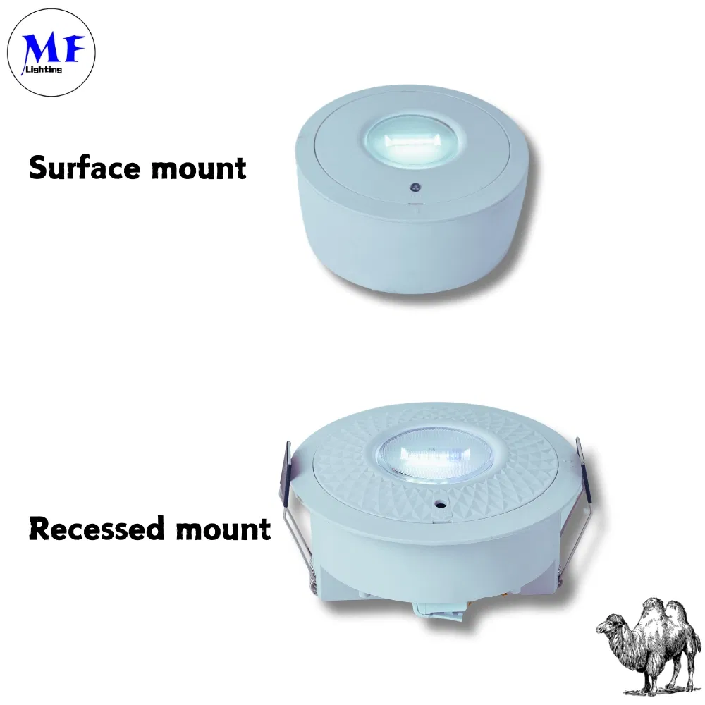 Panel Down Light Đèn đèn LED Bị hoảng loạn thoát hiểm khẩn cấp Đèn biển ra ngoài IP65 Pin dự phòng Trường học công cộng tái sạc Bệnh viện màu trắng 4