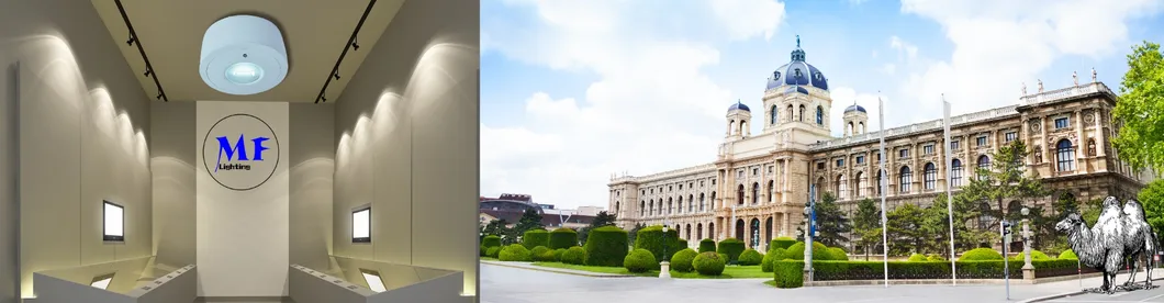 Panel Down Light Đèn đèn LED Bị hoảng loạn thoát hiểm khẩn cấp Đèn biển ra ngoài IP65 Pin dự phòng Trường học công cộng tái sạc Bệnh viện màu trắng 18