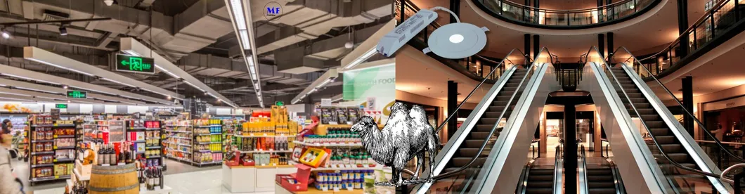 Ánh sáng xuống hoảng loạn thoát hiểm khẩn cấp Ánh sáng dấu hiệu ra ngoài 3h IP65 Ứng dụng mua sắm 12