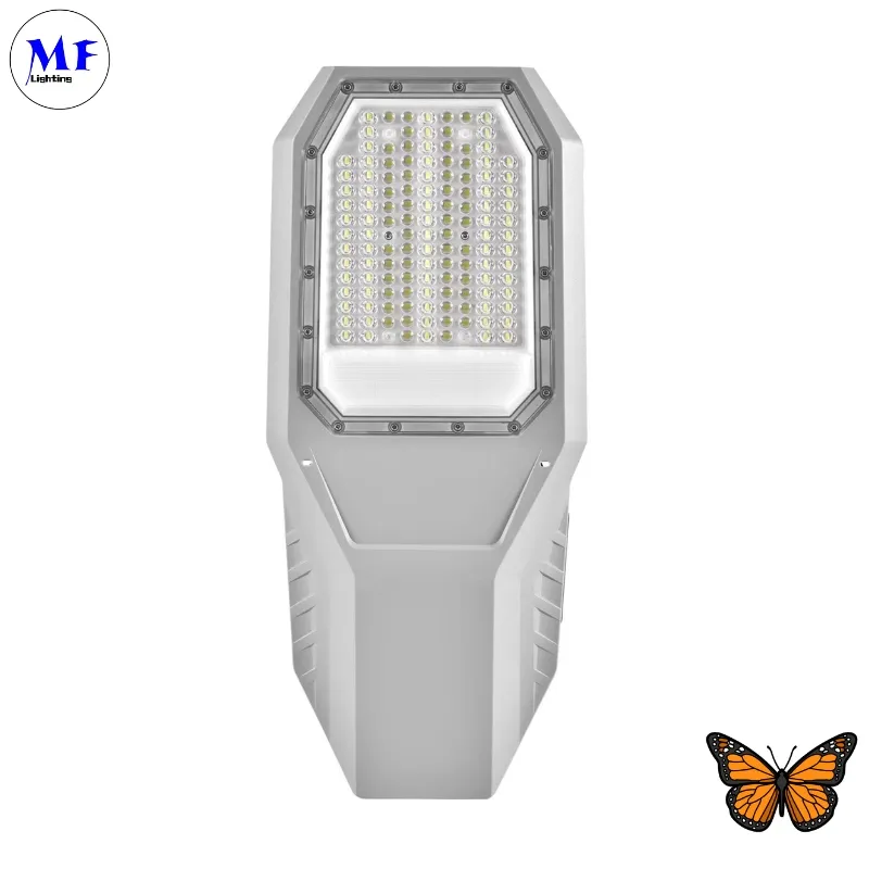 Đèn LED Mặt trời vườn đường phố Đèn tường nhôm Kiểm soát nước 200W IP65 Ik08 Đường đi công viên nhỏ gọn 0