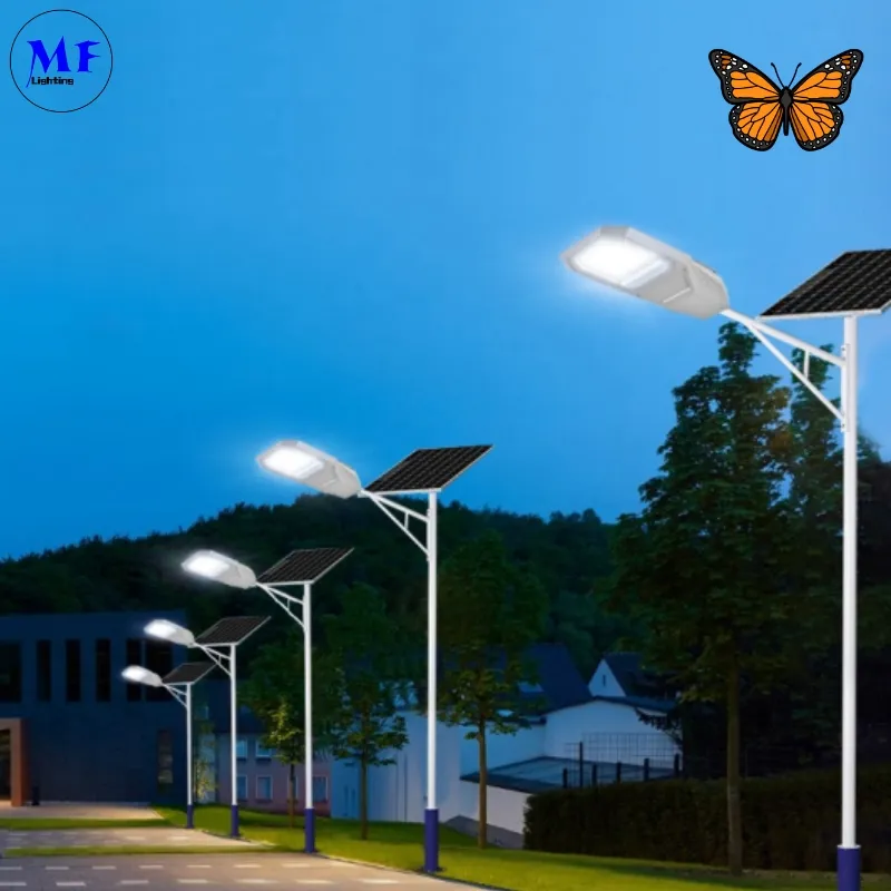 Đèn LED Mặt trời vườn đường phố Đèn tường nhôm Kiểm soát nước 200W IP65 Ik08 Đường đi công viên nhỏ gọn 2