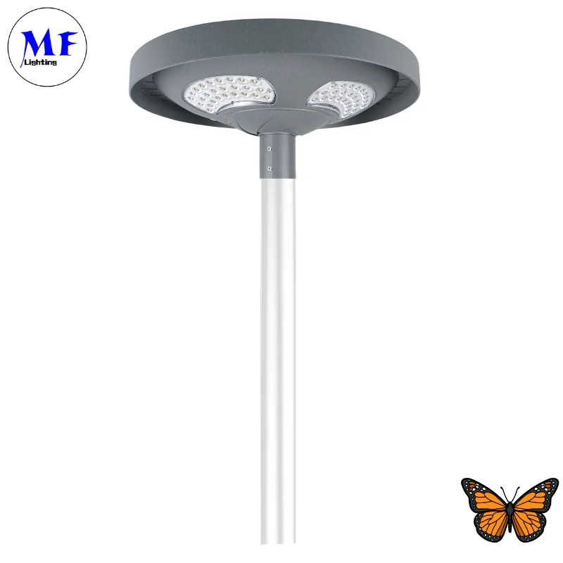 Đèn đường LED năng lượng mặt trời sân vườn chống nước 40W IP65 Ik08 Công viên Đường đi Bộ vỉa hè Trường học Sân 0