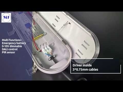 Bề mặt đèn LED Triproof IP65 được gắn với bộ khuếch tán Opal