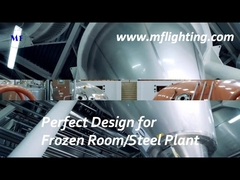 Đèn LED 600mm Tri Proof Fixture 25W với bộ khuếch tán kính cường lực