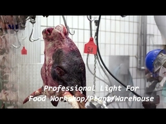 Giá đỡ chuỗi đèn LED Tri Proof chống nước 1200mm IP68 được gắn