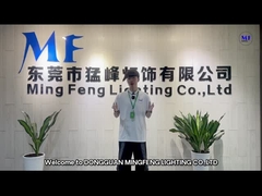 CÔNG TY TNHH Chiếu sáng Ming Feng