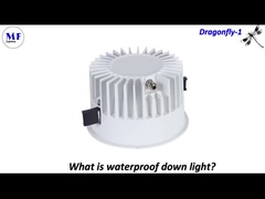 Đèn Downlight MF Chuồn Chuồn-1