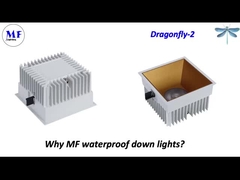 MF Đèn Downlight Dragonfly-2