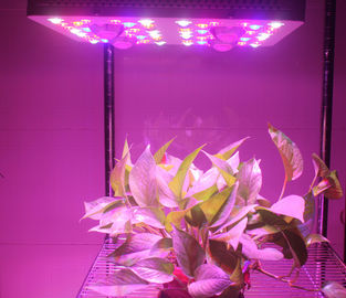415W LED Grow Lights Full Spectrum Growing From Vegetate To Bloom , Grow Rooms / Tents