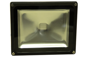 Natural White 10W RGB LED Flood Light Waterproof Stadium Lighting Fixture