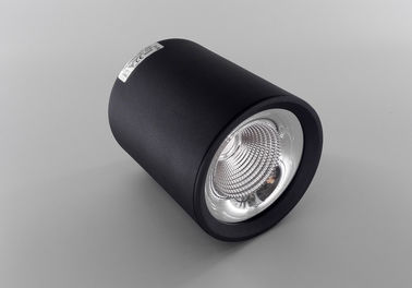 Aluminum Black Surface Mounted LED Ceiling Lighting 20 W For Fashion Stores