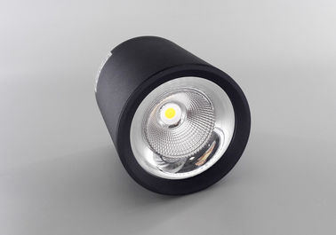 Aluminum Black Surface Mounted LED Ceiling Lighting 20 W For Fashion Stores
