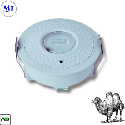 Nhiệt thải chống cháy 2h 8W Backup Bề mặt đệm lắp đặt Downlight LED khẩn cấp Down Light cho văn phòng Trung tâm mua sắm Market Hotel