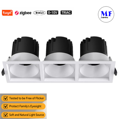 Ba đầu xuống ánh sáng LED Phía chiếu sáng Khu dân cư Khách sạn Cửa hàng cà phê Nhà hàng thương mại Không có ánh sáng Dali Dim Tuya Modular Ik07 IP44 21W 36W 30W 45W