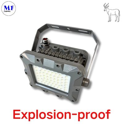 Đèn LED chống cháy nổ EATON IP66 50W 75W 100W 150W 200W 240W 300W 350W 400W cho ngành dầu khí ngoài khơi, chống cháy nổ theo tiêu chuẩn ATEX