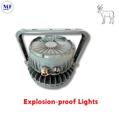Giá xuất xưởng IP66 IK08 Bảo hành 5 năm Đèn LED ATEX Chứng nhận chống cháy nổ Đèn High Bay Nhiệt độ hoạt động -40℃~+55℃ Đèn chống cháy nổ cho Nhà máy lọc dầu Nhà máy hóa chất
